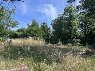  Terrain à vendre 565 m²