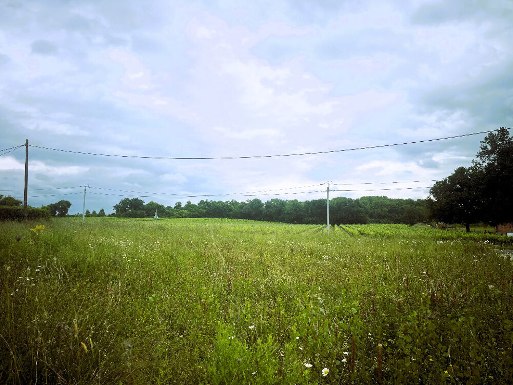 vente Terrain - 620 m² Cavignac (33620)
