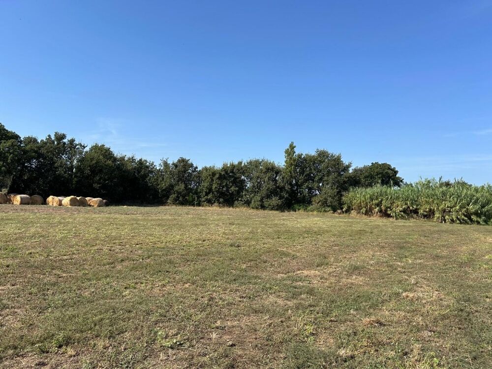 vente Maison - 4 pièce(s) - 85 m² Villeneuve-la-Rivière (66610)