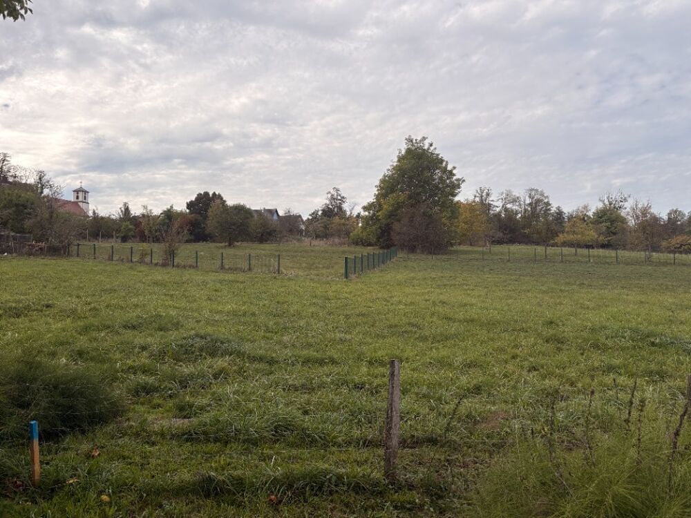 vente Terrain - 445 m² Helfrantzkirch (68510)