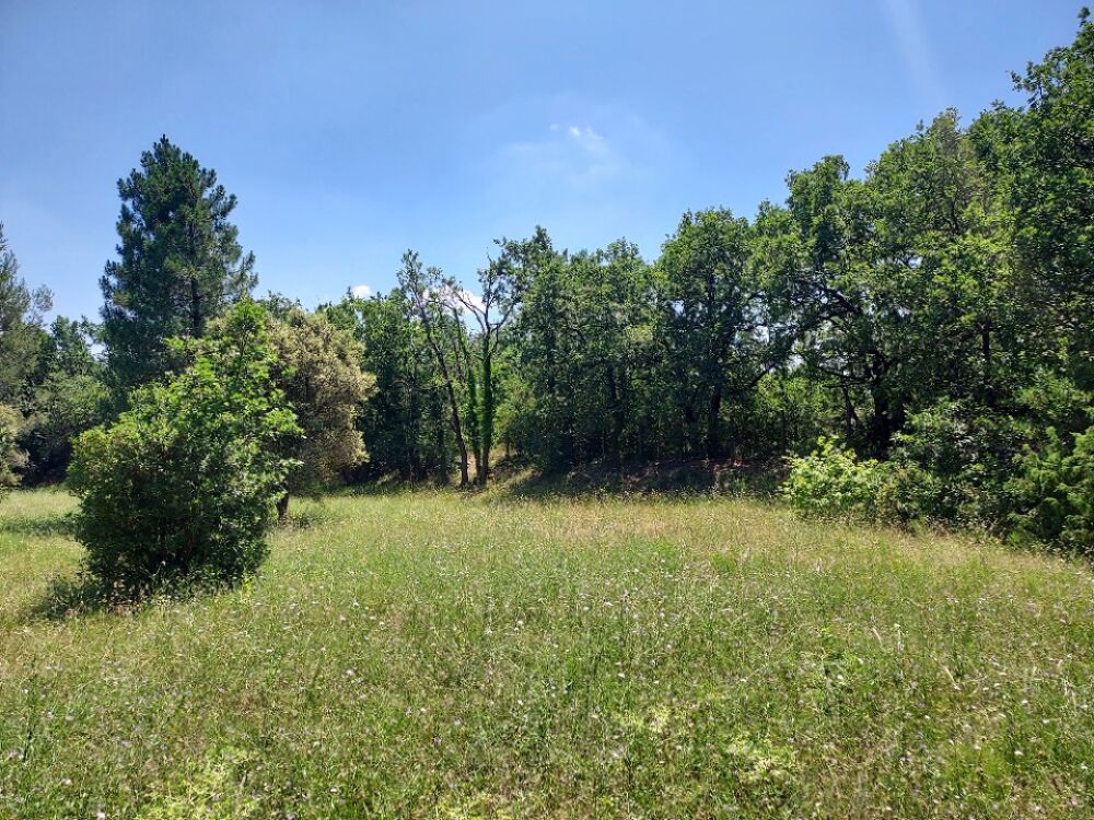 vente Terrain - 1165 m² Gonfaron (83590)