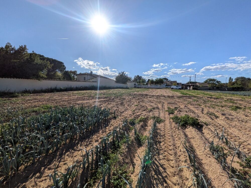 vente Terrain - 800 m² Saint-Georges-de-Reneins (69830)