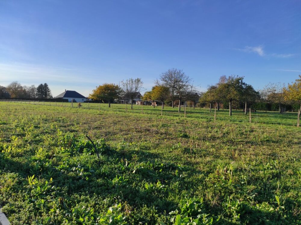 vente Terrain - 549 m² La Haye-Malherbe (27400)