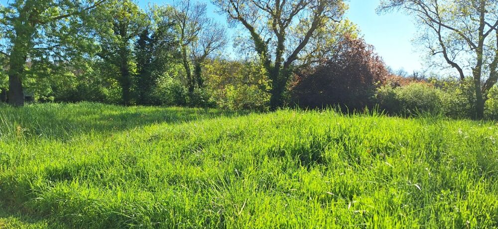 vente Maison - 4 pièce(s) - 120 m² Fontenilles (31470)