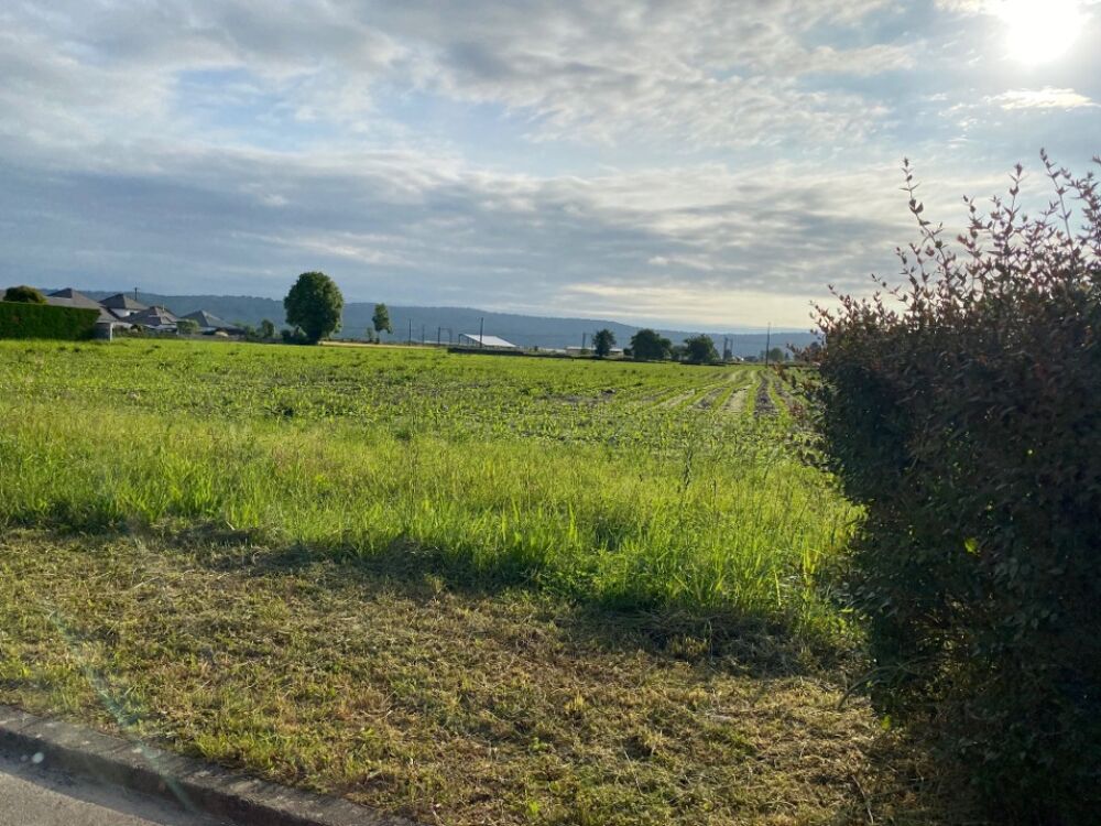 vente Terrain - 500 m² Boeil-Bezing (64510)