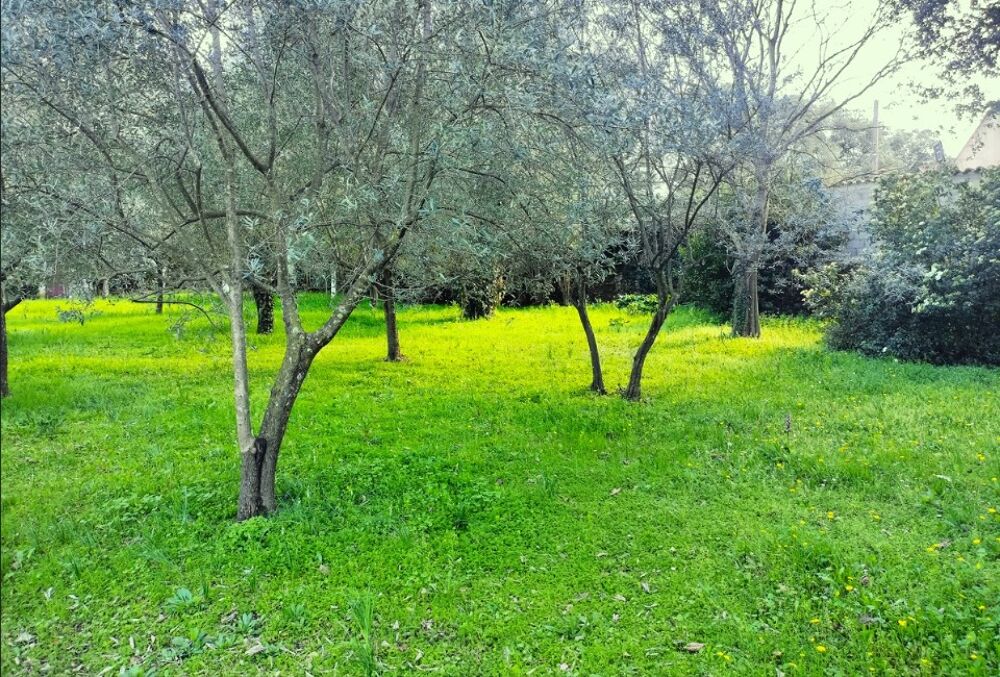 vente Terrain - 1000 m² Draguignan (83300)
