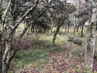  Terrain � vendre 1807 m�