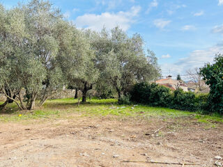  Terrain 449 m� Cuers