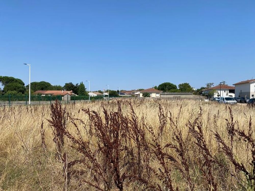 vente Terrain - 487 m² Lespinasse (31150)