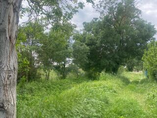  Terrain � vendre 464 m�