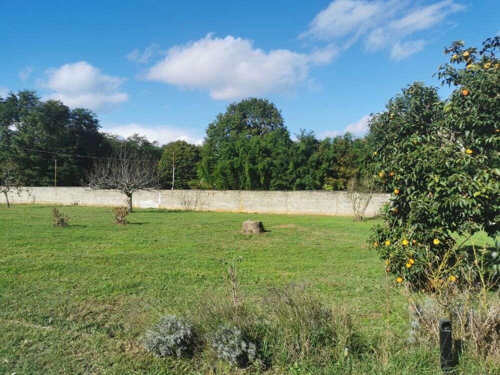 vente Terrain - 605 m² Saint-Michel-de-Rieufret (33720)