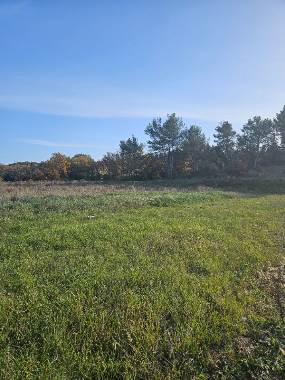 vente Terrain - 990 m² Peynier (13790)