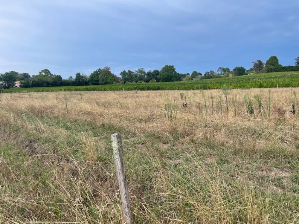 vente Terrain - 669 m² Camblanes-et-Meynac (33360)