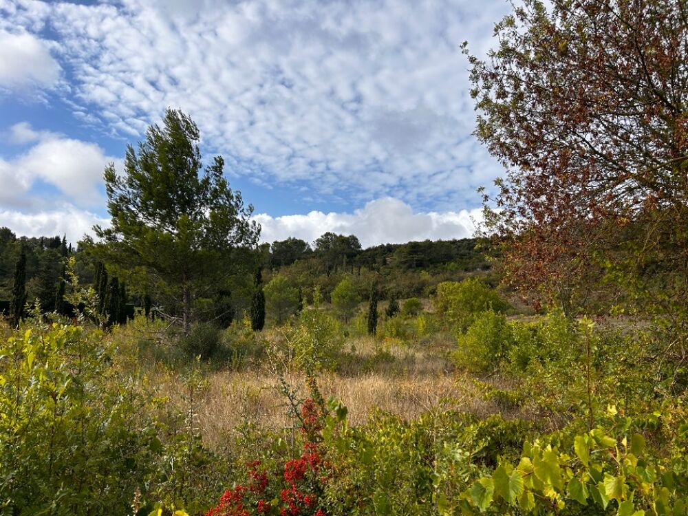 vente Terrain - 500 m² Villegailhenc (11600)