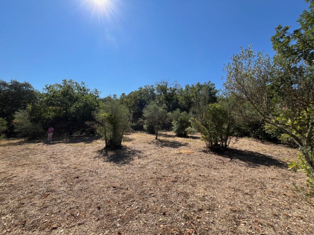 vente Terrain - 1682 m² Brignoles (83170)
