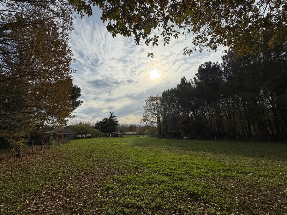 vente Terrain - 529 m² Salles (33770)