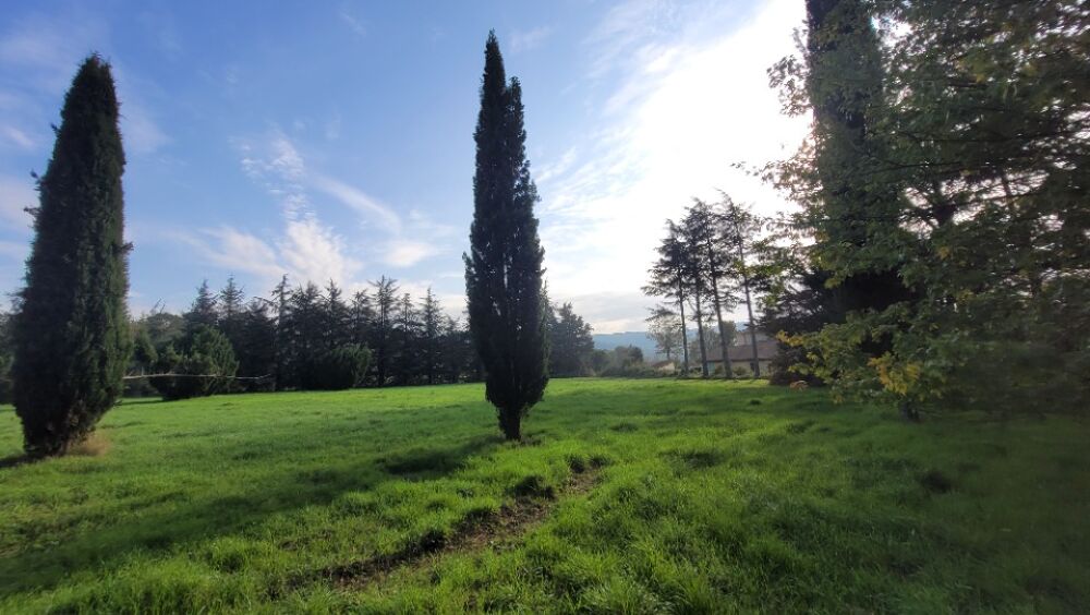 vente Terrain - 1330 m² Allan (26780)