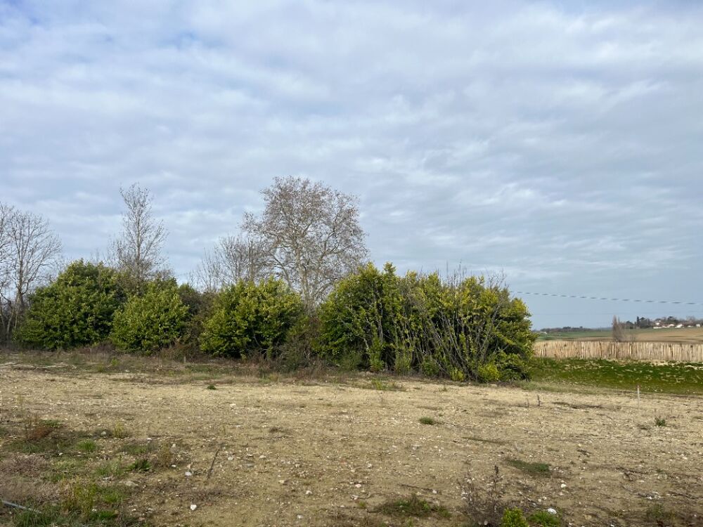 vente Maison - 6 pièce(s) - 134 m² Quint-Fonsegrives (31130)