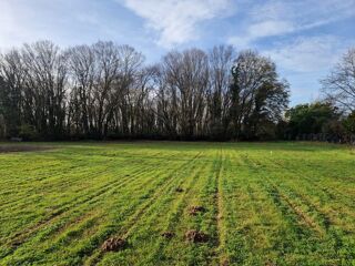  Maison 5 pi�ces 148 m� Montendre