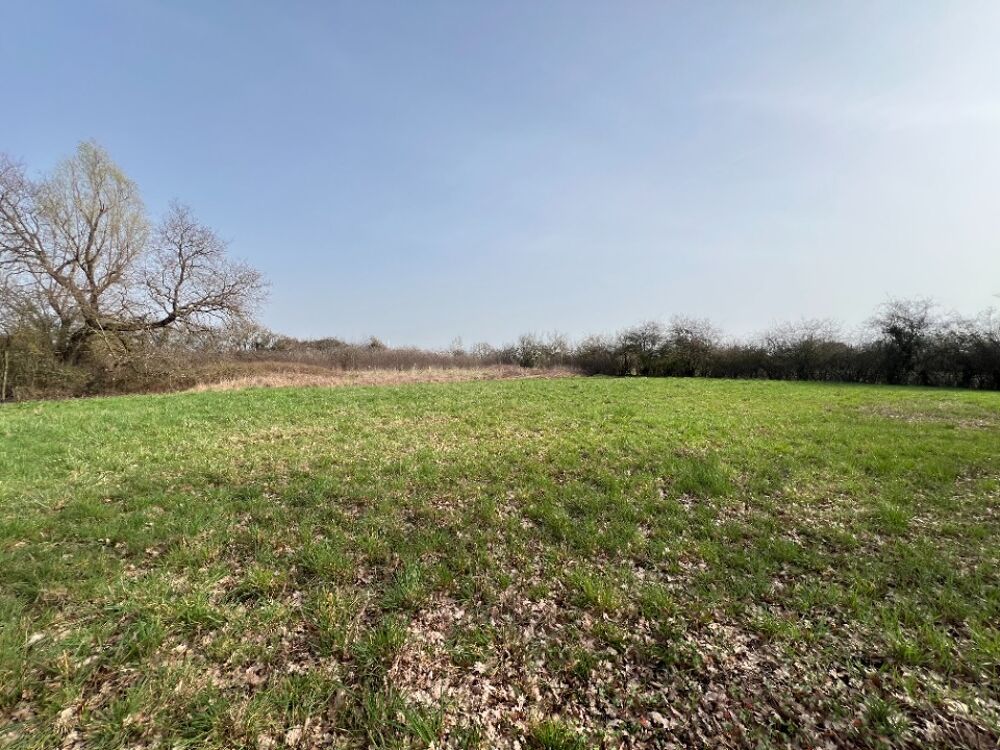 vente Maison - 5 pièce(s) - 140 m² Grièges (01290)