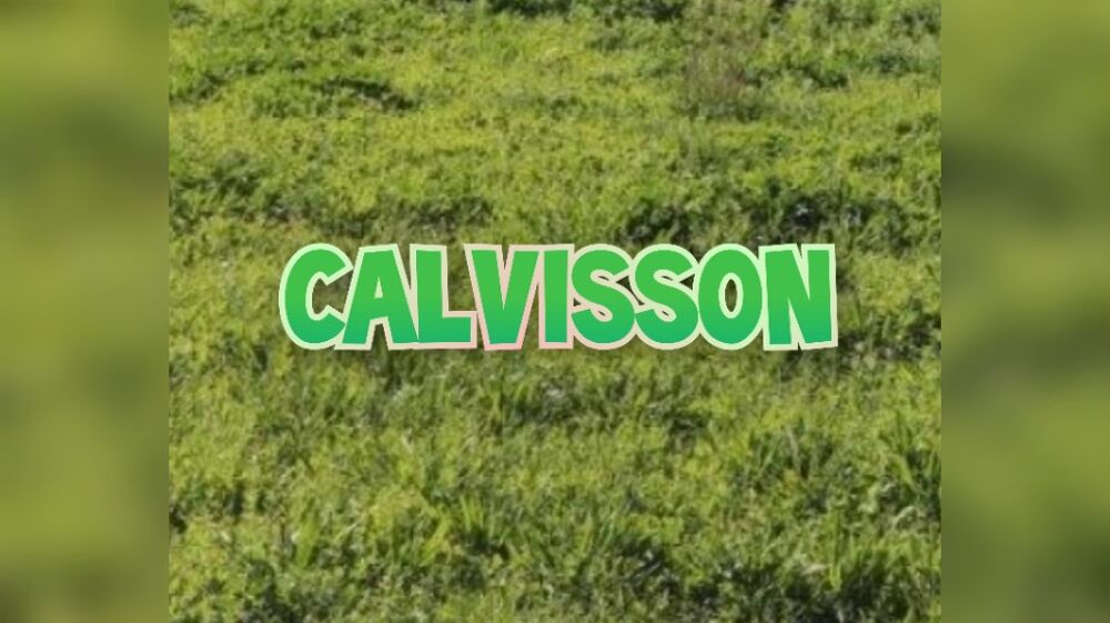 vente Terrain - 450 m² Calvisson (30420)