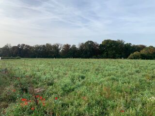  Terrain 200 m� Ottange