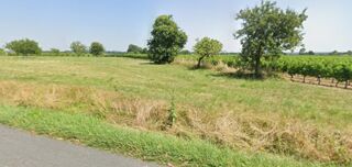  Terrain � vendre 1000 m�