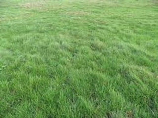  Terrain � vendre 1062 m�