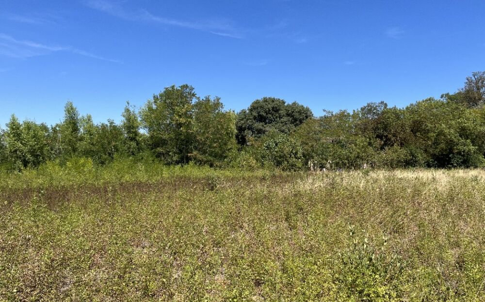 vente Terrain - 403 m² Castelnaudary (11400)