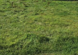  Terrain � vendre 720 m�