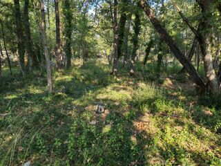  Maison 4 pi�ces 100 m� Trans-en-provence