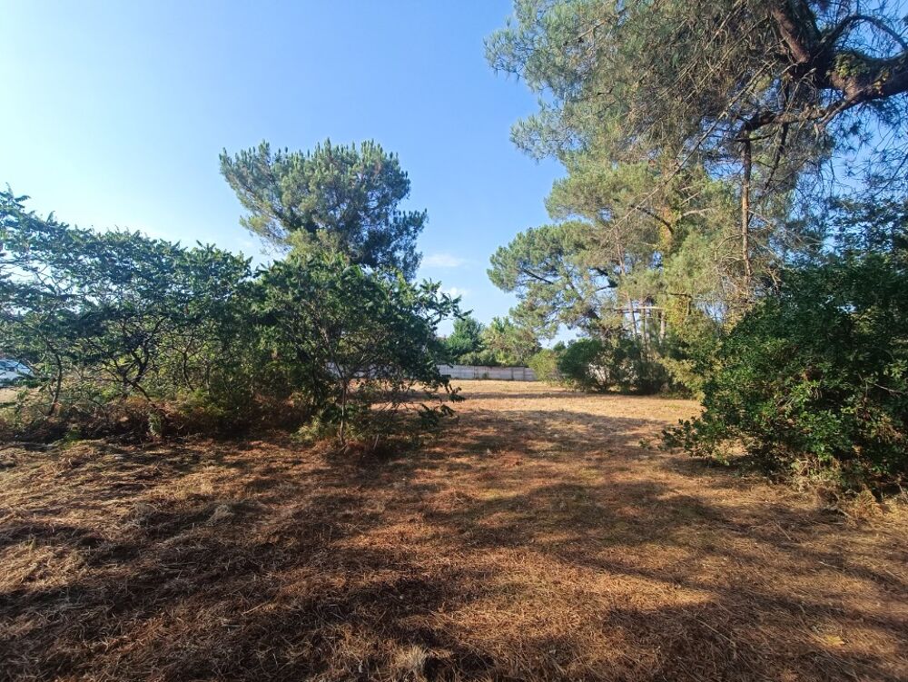 vente Terrain - 850 m² Martillac (33650)