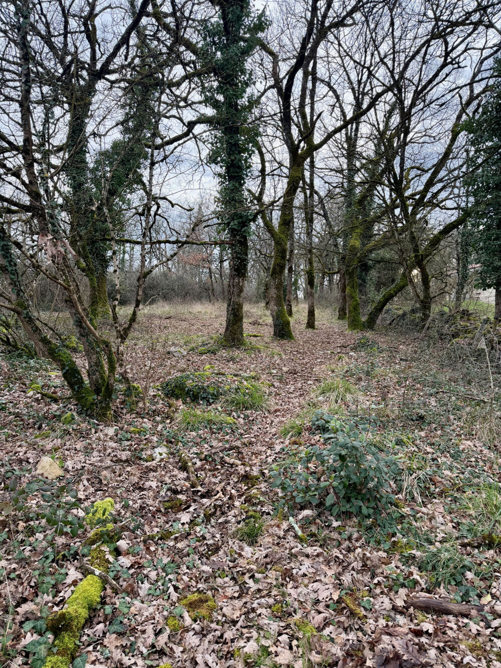 Vente Terrain Terrain constructible de 5030 m2 Villefranche de rouergue