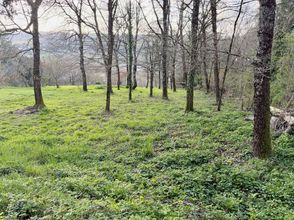 Vente Terrain Terrain de loisirs 1825 m2 Villefranche de rouergue