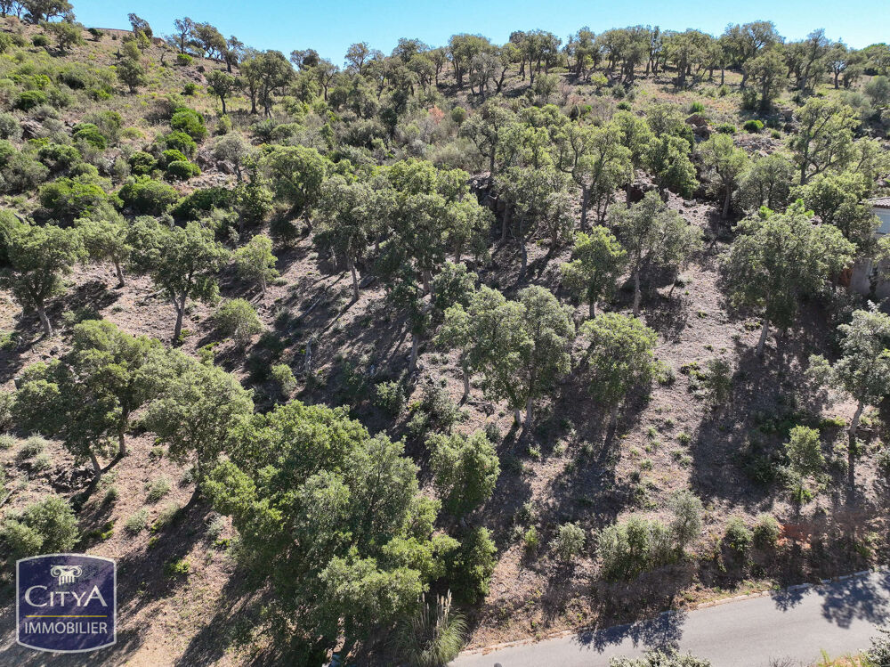 Vente Terrain terrain Sainte-maxime