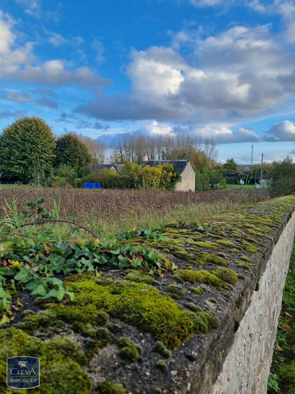 Vente Terrain terrain Coteaux-sur-loire