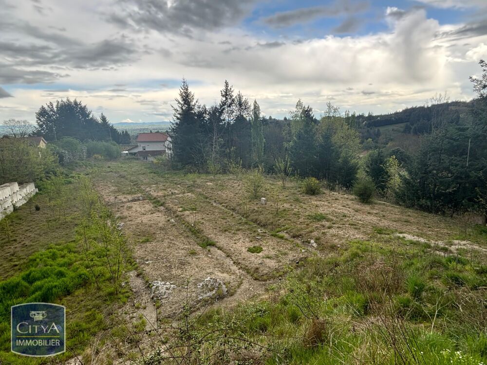 Vente Terrain terrain Saint-haon-le-vieux