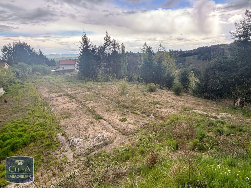 Vente Terrain terrain Saint-haon-le-vieux