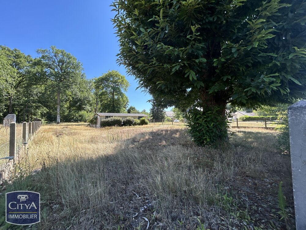 Vente Terrain terrain Candé-sur-beuvron