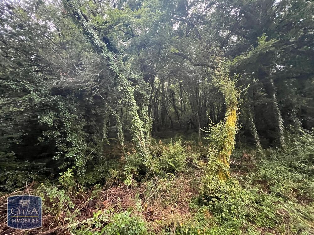 Vente Terrain terrain Carsac-aillac