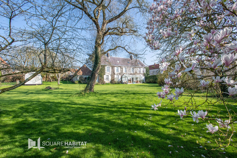 à vendre  Maison Samer (62830)