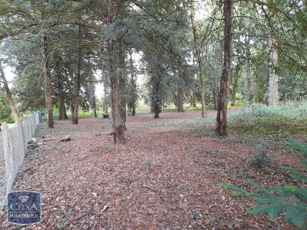Vente Terrain terrain Montbazon
