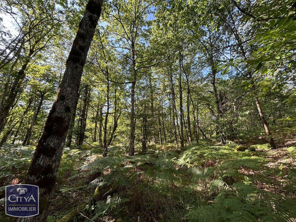 Vente Terrain terrain Eyraud-crempse-maurens