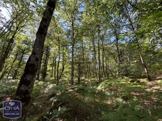  Terrain à vendre 4957 m²