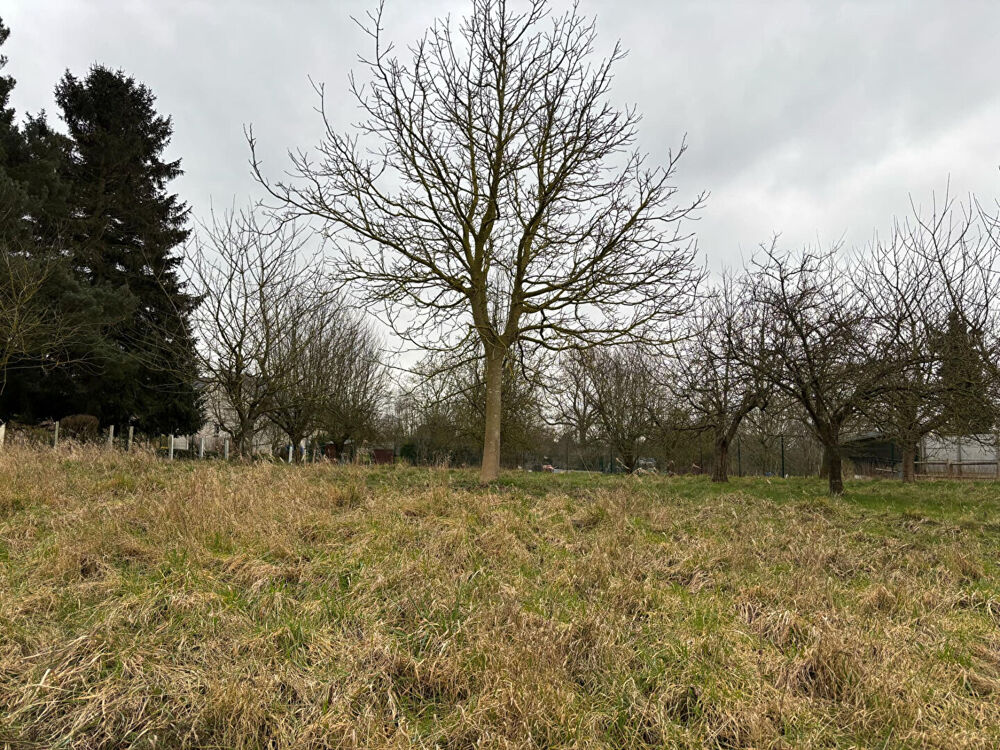 Vente Terrain terrain Clary