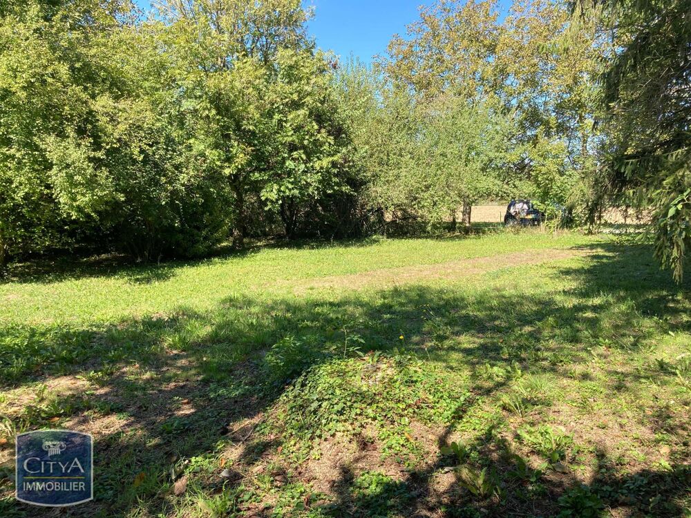 Vente Terrain terrain Chatte