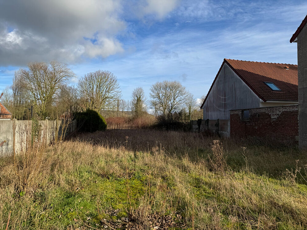 Vente Terrain terrain Licques