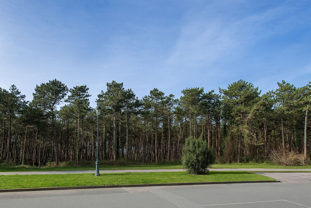 Vente Appartement appartement Le touquet-paris-plage