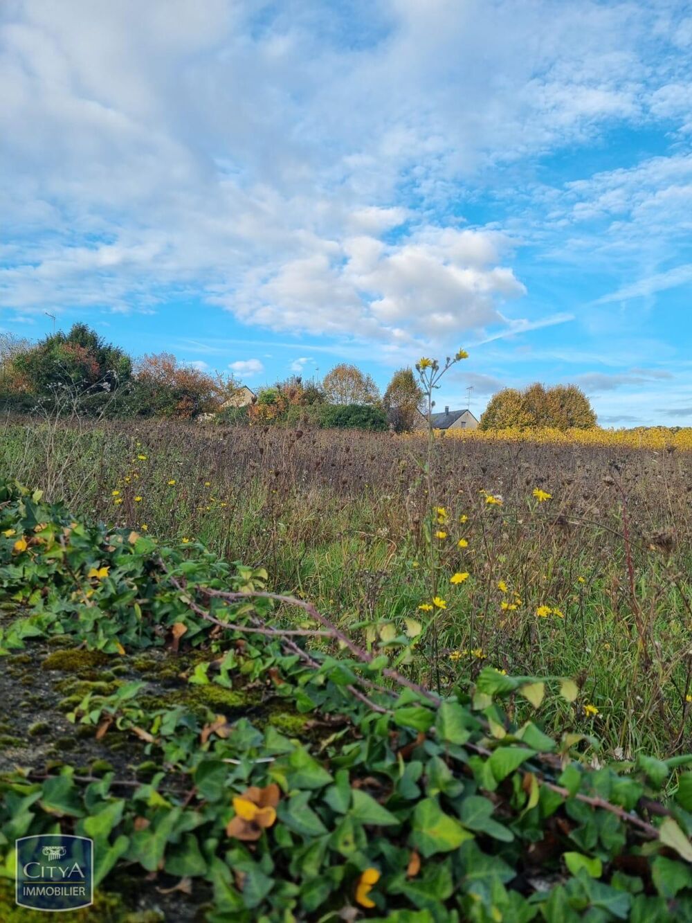 Vente Terrain terrain Coteaux-sur-loire