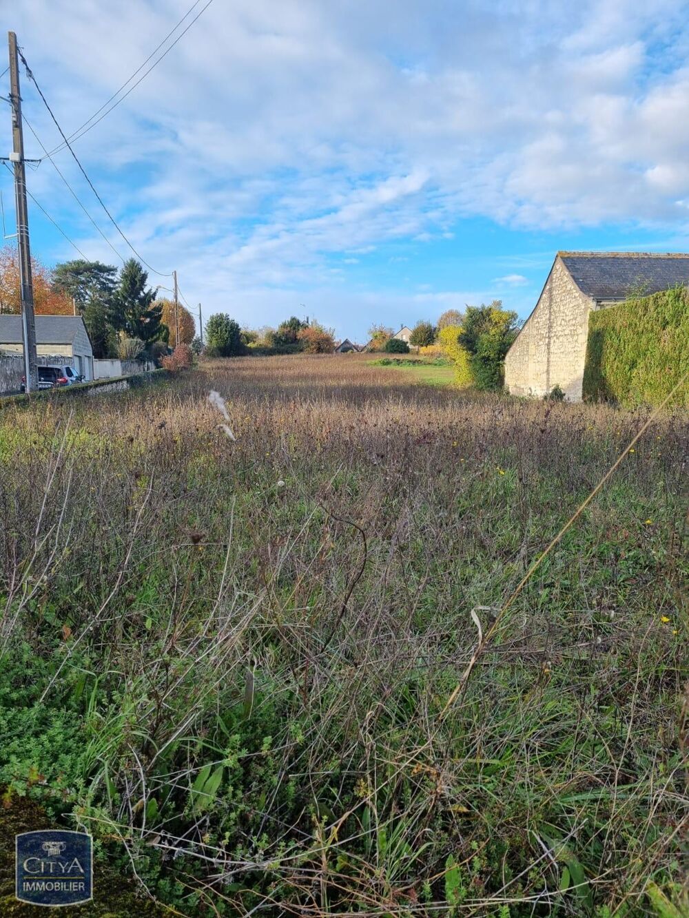 Vente Terrain terrain Coteaux-sur-loire